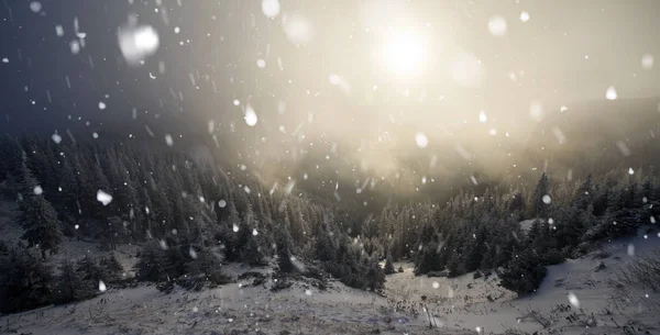 Bäume bedeckt mit Raureif und Schnee im Winter Berge - chri — Stockfoto