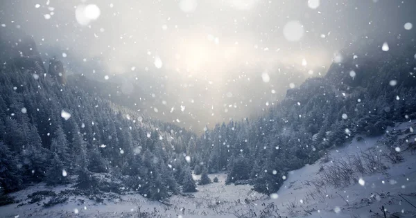 Bäume bedeckt mit Raureif und Schnee im Winter Berge - chri — Stockfoto
