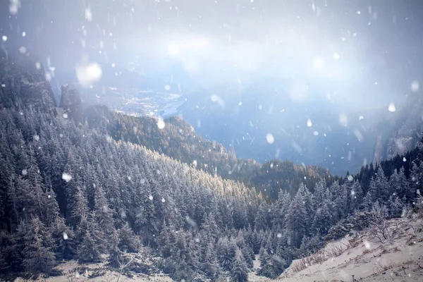 Trees covered with hoarfrost and snow in winter mountains - Chri — Stock Photo, Image