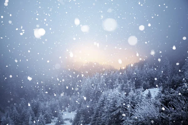 Bäume bedeckt mit Raureif und Schnee im Winter Berge - chri — Stockfoto