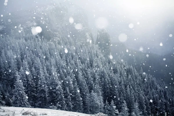 Alberi ricoperti di gelo e neve nelle montagne invernali - Chri — Foto Stock