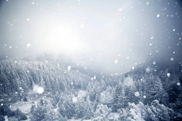 Fák, fedett Dér és a hó a téli hegyek - karácsony — Stock Fotó