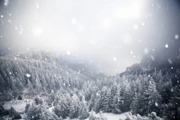 Alberi ricoperti di gelo e neve nelle montagne invernali - Chri — Foto Stock