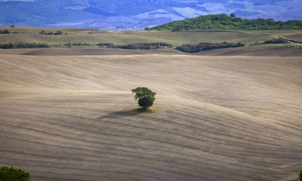 Toszkána - panoráma táj, a hegyek és a rét, Toscana - Olaszország — Stock Fotó