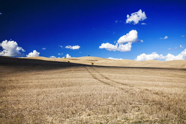 Toskánsko - krajina panorama, kopce a pastviny — Stock fotografie