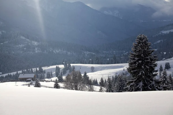 Neve in montagna — Foto Stock