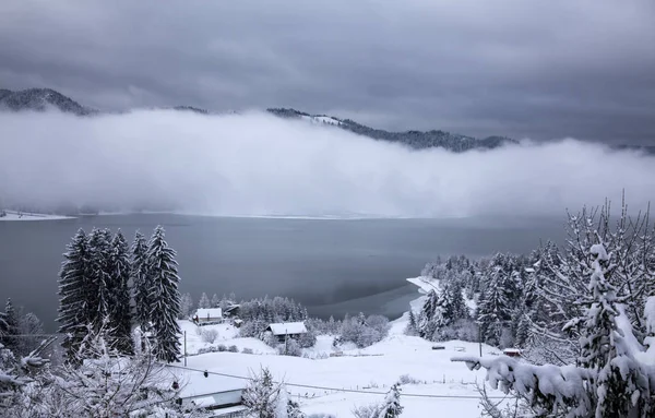 Lake at winter — Stock Photo, Image