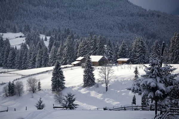 Inverno in montagna — Foto Stock