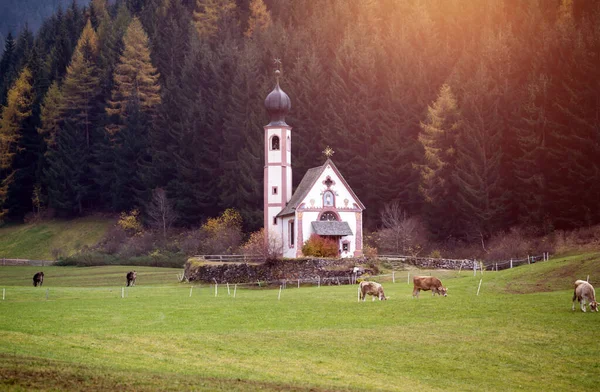 Dolomitalperna. St Johann kyrkan i Santa Maddalena, Val Di Funes — Stockfoto