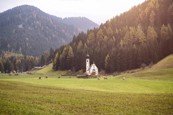 Dolomitalperna. St Johann kyrkan i Santa Maddalena, Val Di Funes — Stockfoto