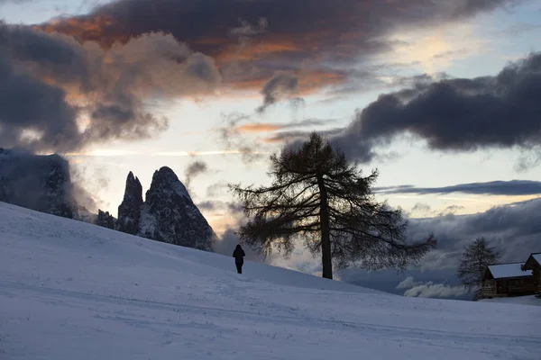 Viaggiatore solitario in montagna dolomitica in inverno . — Foto Stock