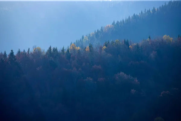 Herfst bladeren in de bergen. — Stockfoto