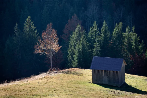 Podzimní listí v horách. — Stock fotografie