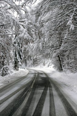 Kenarlarında kar yığınları olan boş yol.