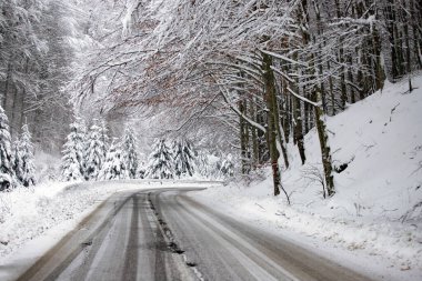 Kenarlarında kar yığınları olan boş yol.