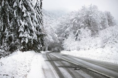 Kenarlarında kar yığınları olan boş yol.