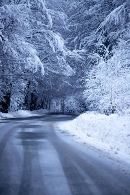 Kenarlarında kar yığınları olan boş yol.