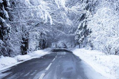 Kenarlarında kar yığınları olan boş yol.