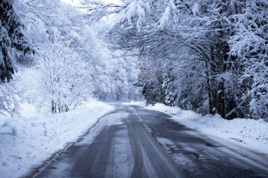 Kenarlarında kar yığınları olan boş yol.