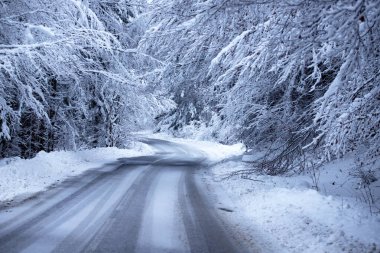 Kenarlarında kar yığınları olan boş yol.