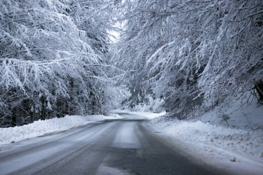 Kenarlarında kar yığınları olan boş yol.