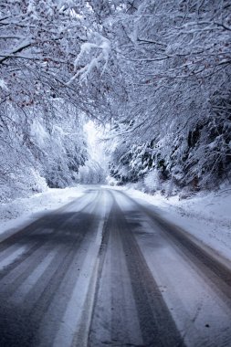 Kenarlarında kar yığınları olan boş yol.