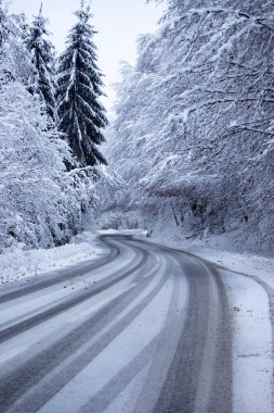 Kenarlarında kar yığınları olan boş yol.