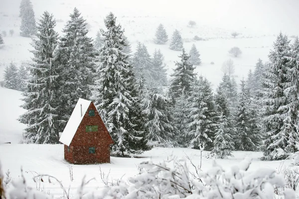 Cabaña cubierta de nieve en las montañas —  Fotos de Stock