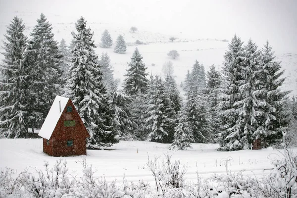 Snow covered hut in the mountains — Stock fotografie