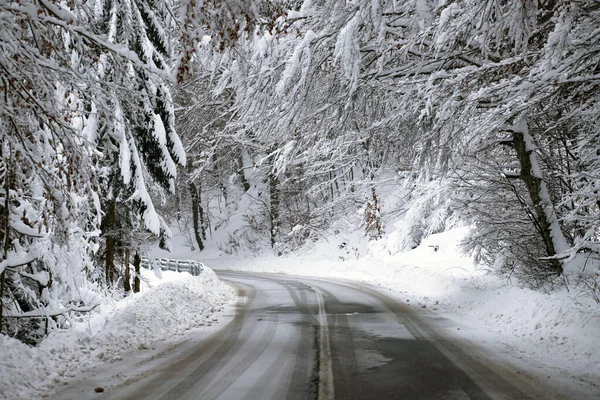 Kenarlarında kar yığınları olan boş yol.