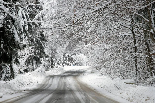 Kenarlarında kar yığınları olan boş yol.