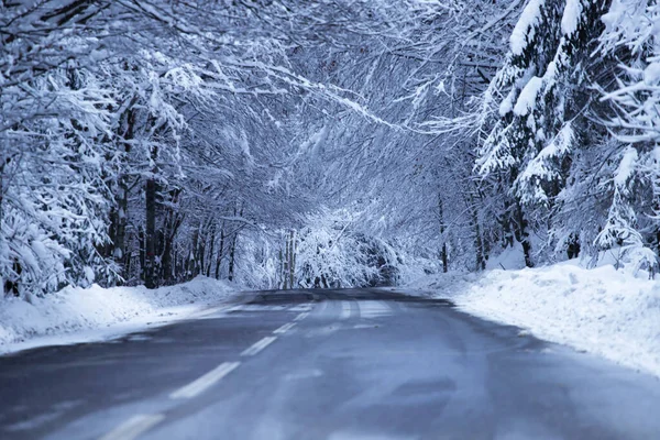 両側に雪の銀行と空の道路. — ストック写真