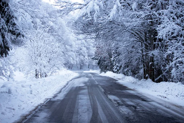Пустая дорога со снежными берегами по сторонам . — стоковое фото
