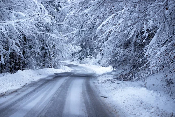 Пустая дорога со снежными берегами по сторонам . — стоковое фото