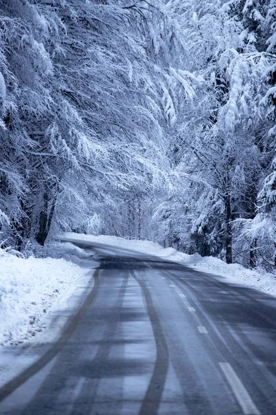 Üres út hófödémekkel az oldalán. — Stock Fotó