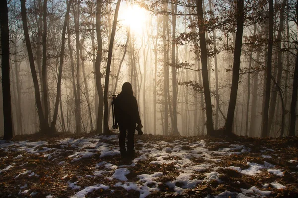 Viajante solitário na floresta nebulosa — Fotografia de Stock