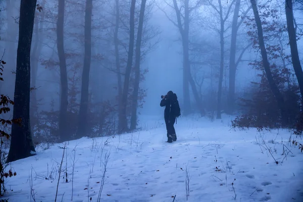 Voyageur solitaire dans une forêt brumeuse — Photo