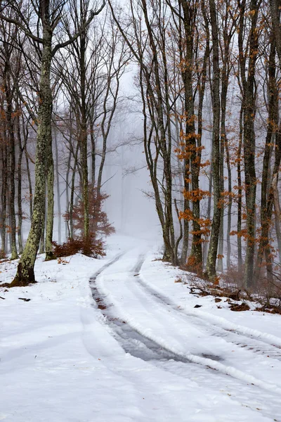 雪山の道 — ストック写真