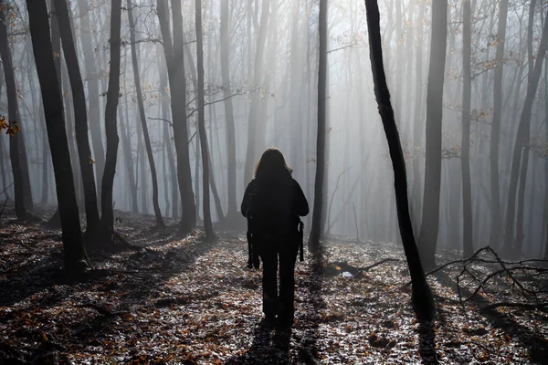 Viajante solitário na floresta nebulosa — Fotografia de Stock
