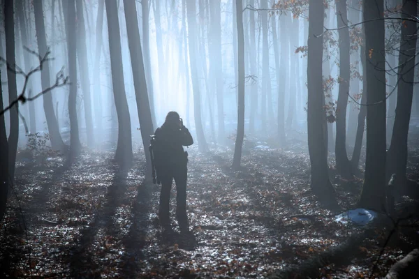 Voyageur solitaire dans une forêt brumeuse — Photo