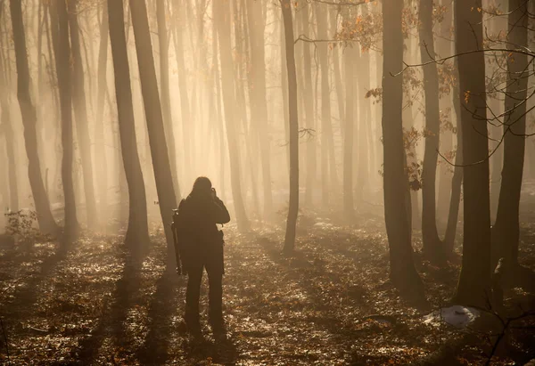 Ensam resenär i dimmig skog — Stockfoto