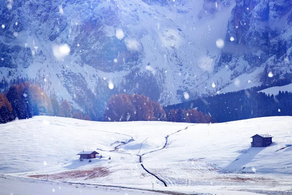 Nieve en Alpe de Siusi al atardecer . —  Fotos de Stock