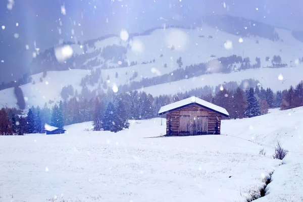 Nieve en Alpe de Siusi al atardecer . —  Fotos de Stock