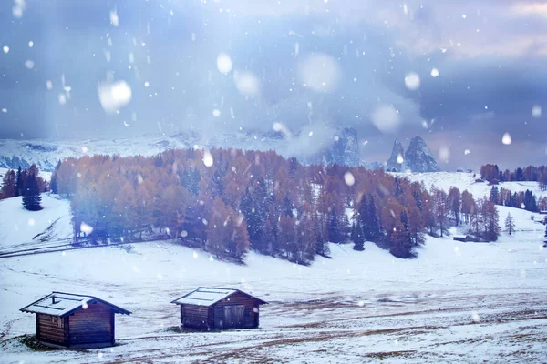 Snowfall at Alpe de Siusi in the sunset. — Stock Photo, Image