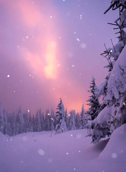 Weihnachten Hintergrund mit schneebedeckten Tannen. — Stockfoto