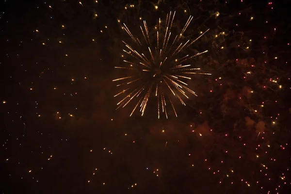 Feuerwerk zur Feier des neuen Jahres — Stockfoto