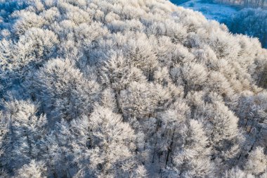 Transilvanya kış manzarası - insansız hava aracı görünümü.