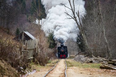 Buharlı tren raylar boyunca esiyor.