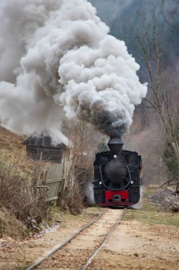 Buharlı tren raylar boyunca esiyor.