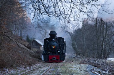 Buharlı tren raylar boyunca esiyor.